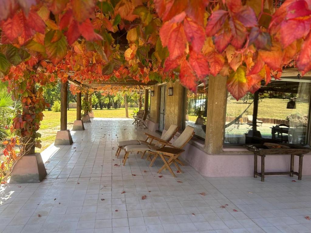 FINCA TIERRA CALMA Casa 1