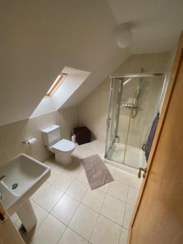 a bathroom with a shower and a toilet and a sink at Barna Liaga House in Tullamore
