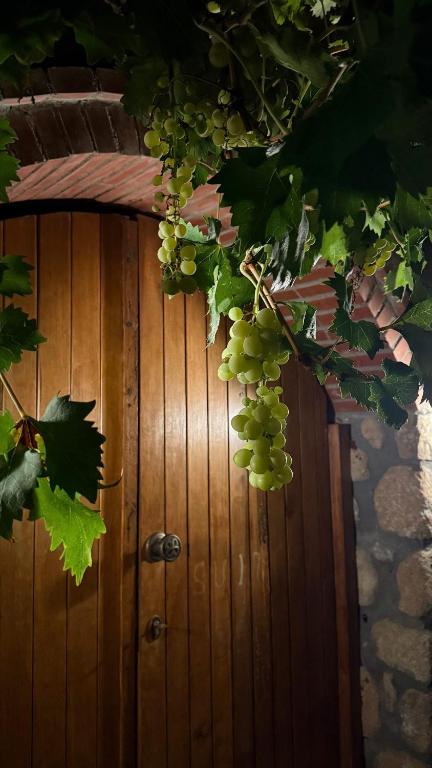 Epavlis Meteora Suites Hotel - Resim 27