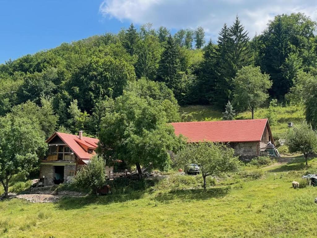 a house with a red roof in a field at Off-grid Eco Farm Dolinka in Kozelník