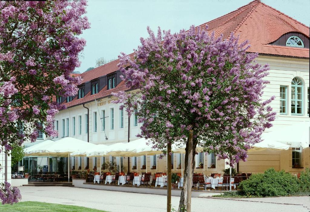 drzewo z fioletowymi kwiatami przed budynkiem w obiekcie Schloss Hotel Dresden Pillnitz w Dreźnie