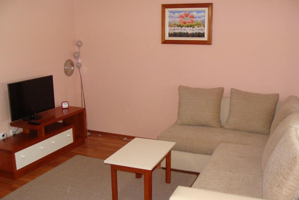 TV a/nebo společenská místnost v ubytování Apartmani Maltar
