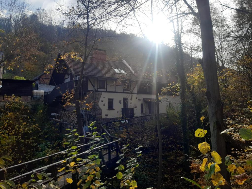 a house with the sun shining through the trees at Dom Przytulisko in Janowiec