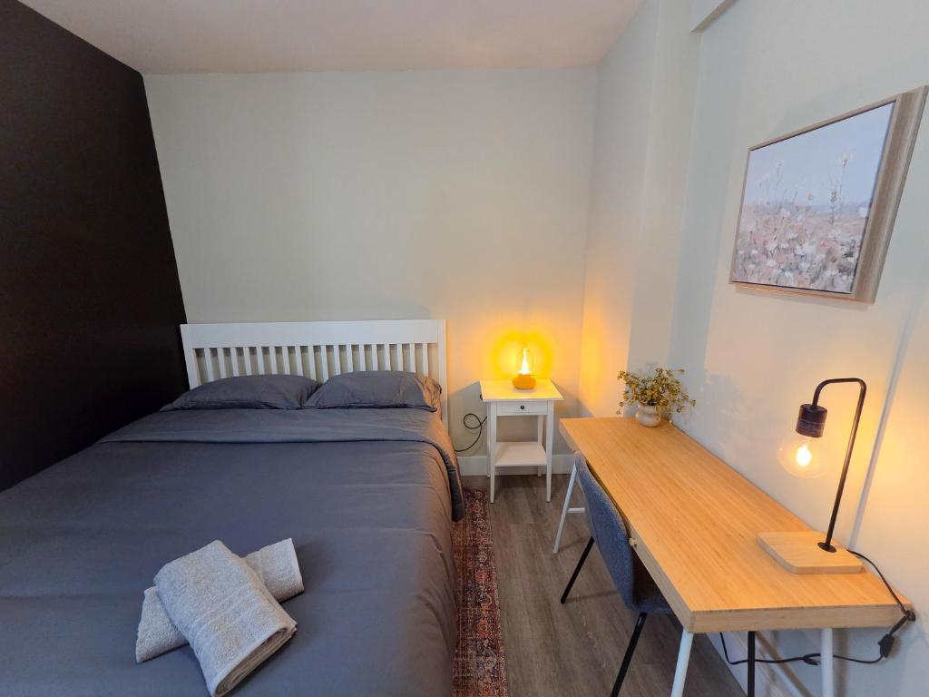 Sandy Hill Downtown Guesthouse - Resim 21