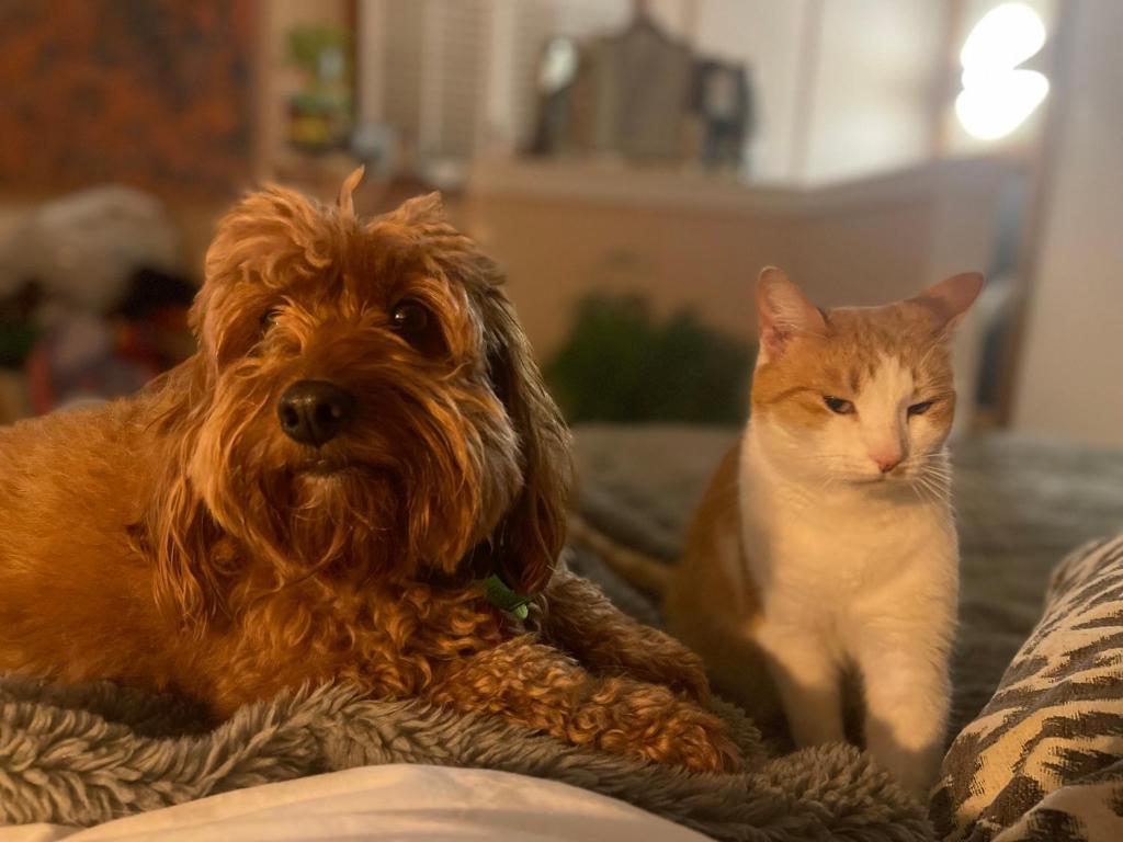 Casa da Karina - Resim 28