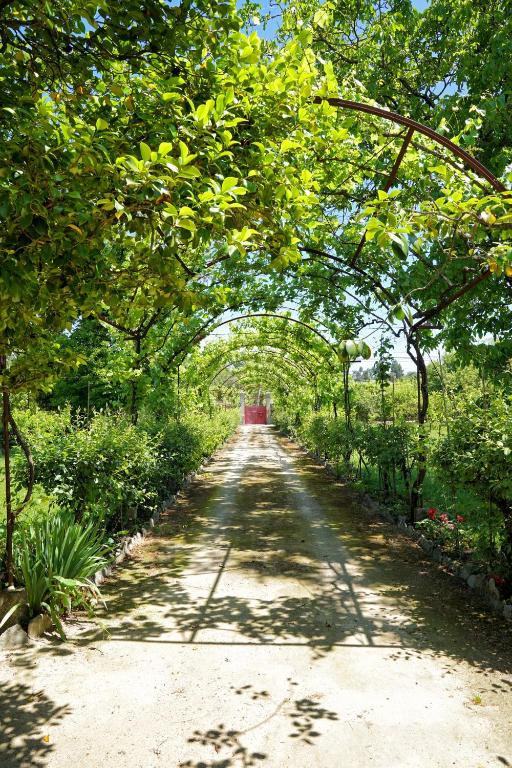 Paisagem natural perto of the country house