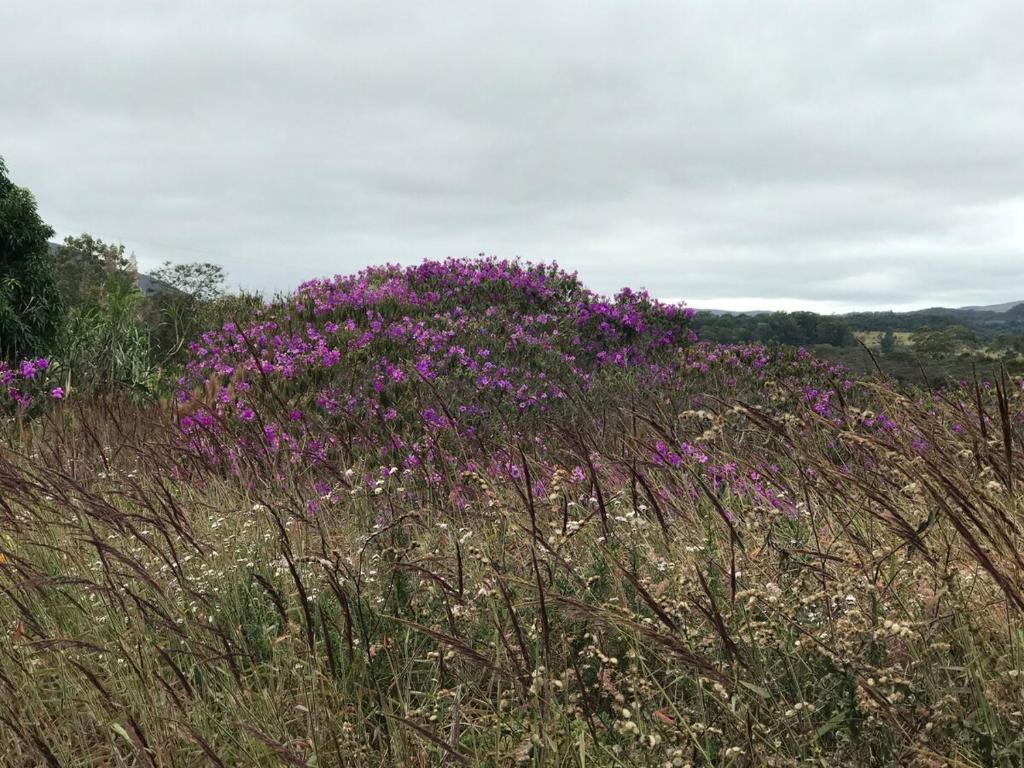 Fotografie z fotogalerie ubytování Chalé Taipa de Pilão v destinaci Moinho