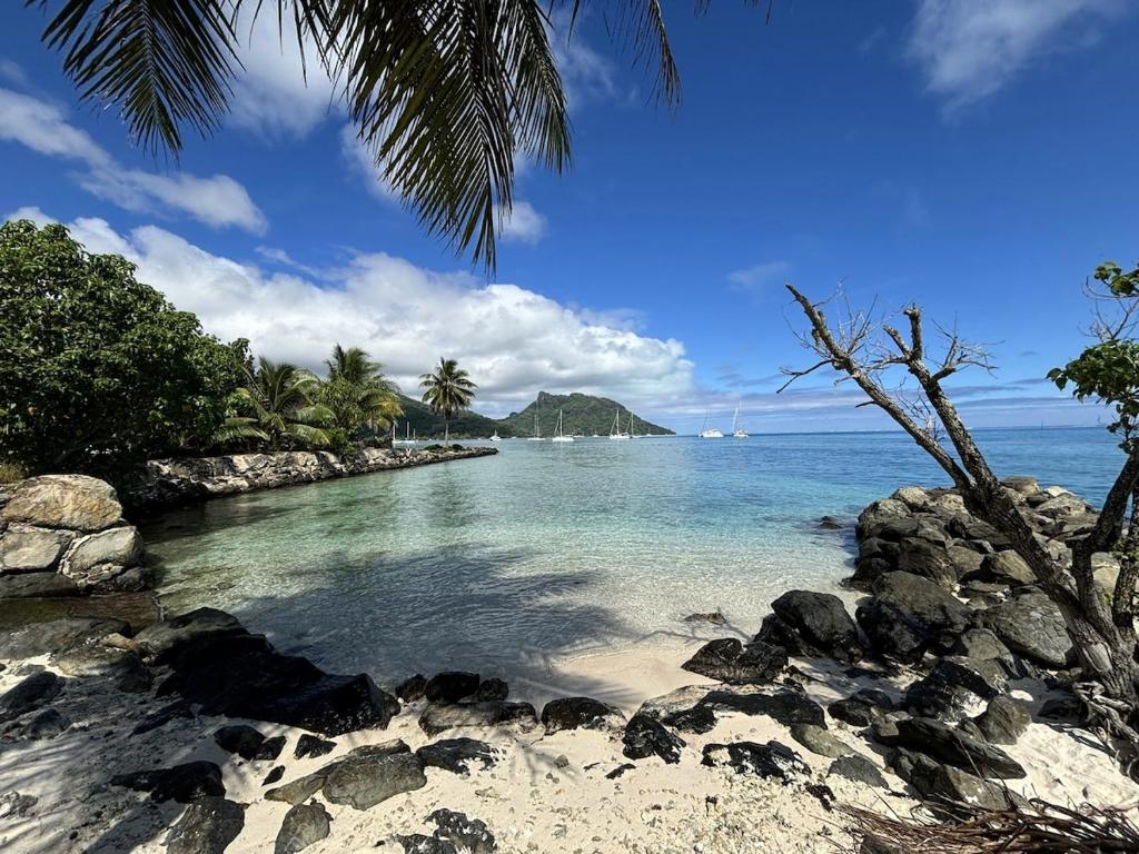 Nanihi Villa - Little Paradise - photo 7 - Huahine, Polynésie