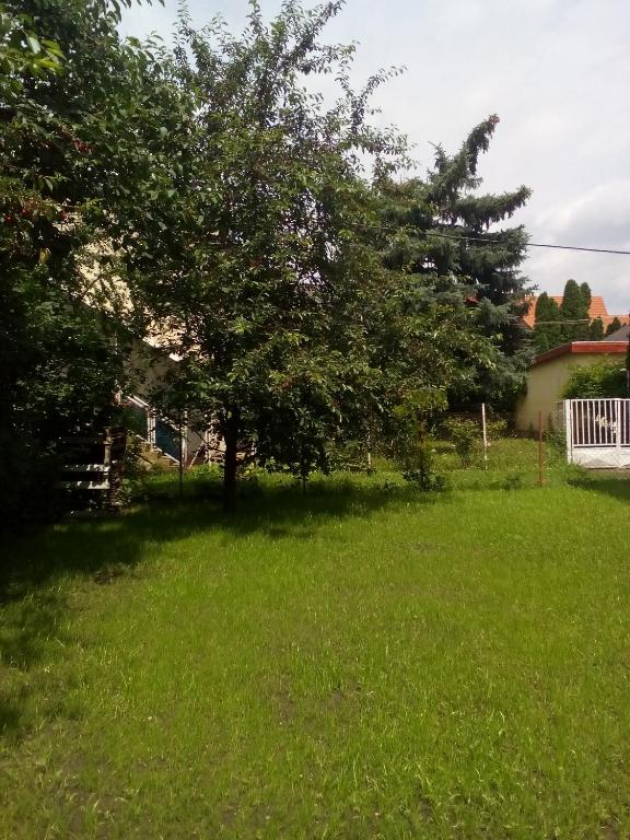 Zdjęcie z galerii obiektu Andi-ház w Hajduszoboszlo