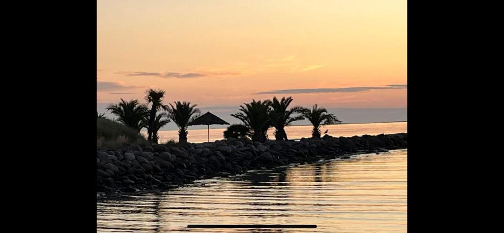 a beach with palm trees and the ocean at sunset at Palm Beach in Frederikshavn