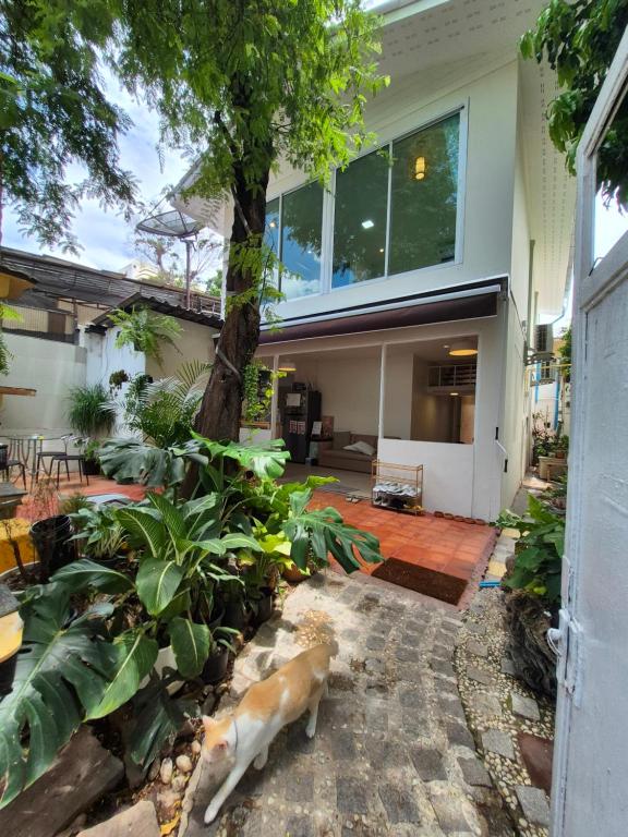 لابی و فضای عمومی Cat House BKK - تصویر ۵