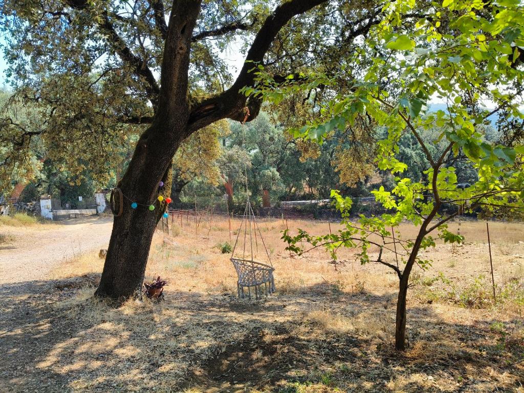a swing hanging from a tree in a park at Casa rural Alicia in Cortegana