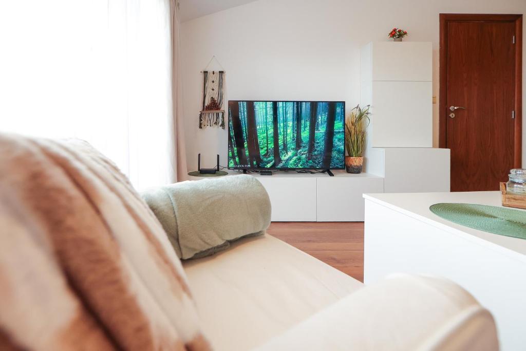 a living room with a couch and a television at Cozy 1BR With Spa Near Ski Lift in Bansko