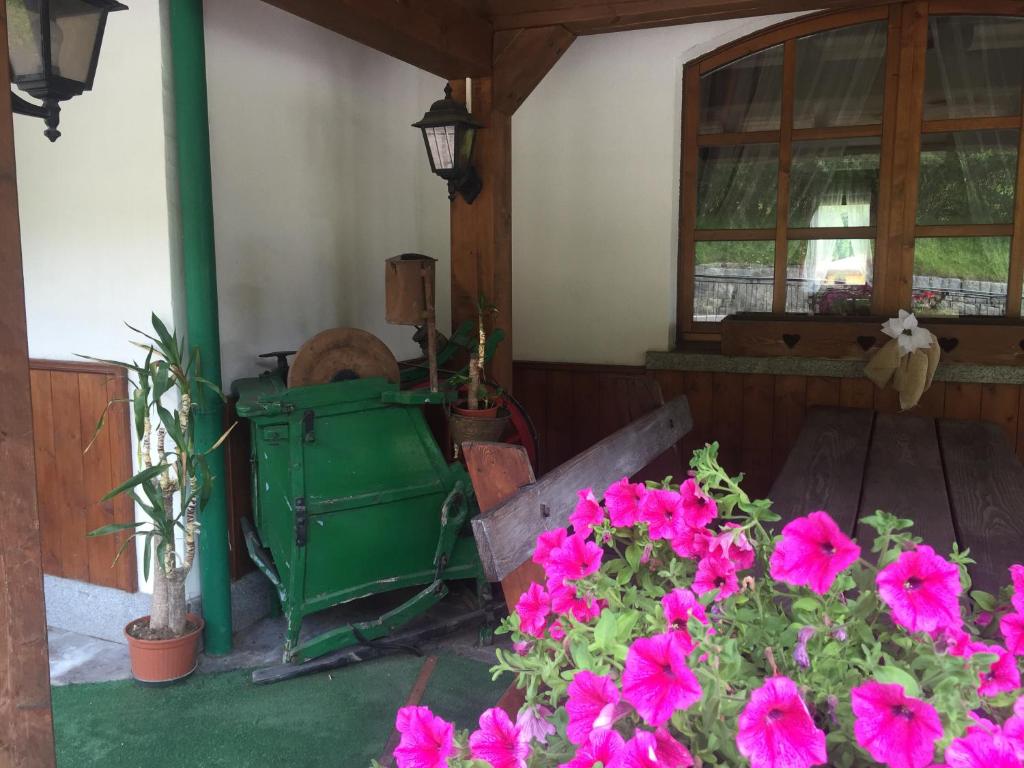 Zahrada ubytování Hotel Tosa