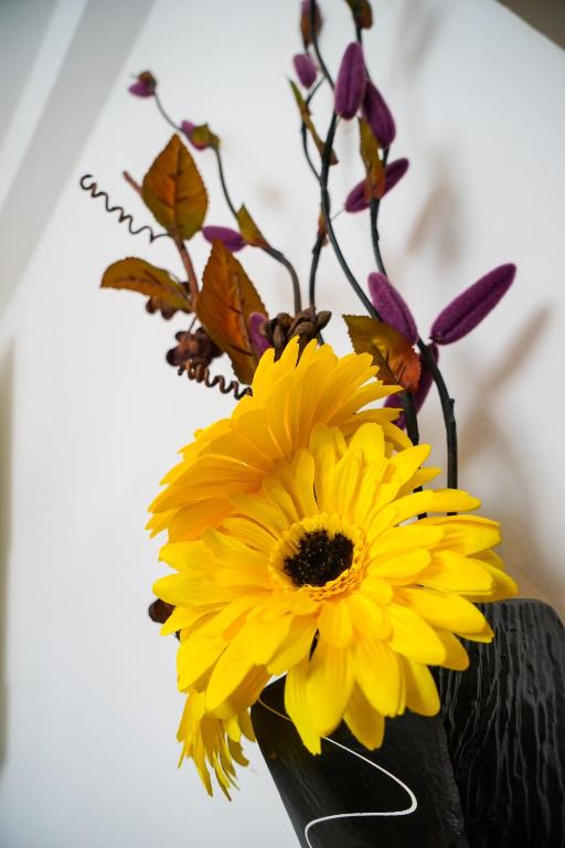 Fotografie z fotogalerie ubytování Floral Apartment v destinaci Zadar