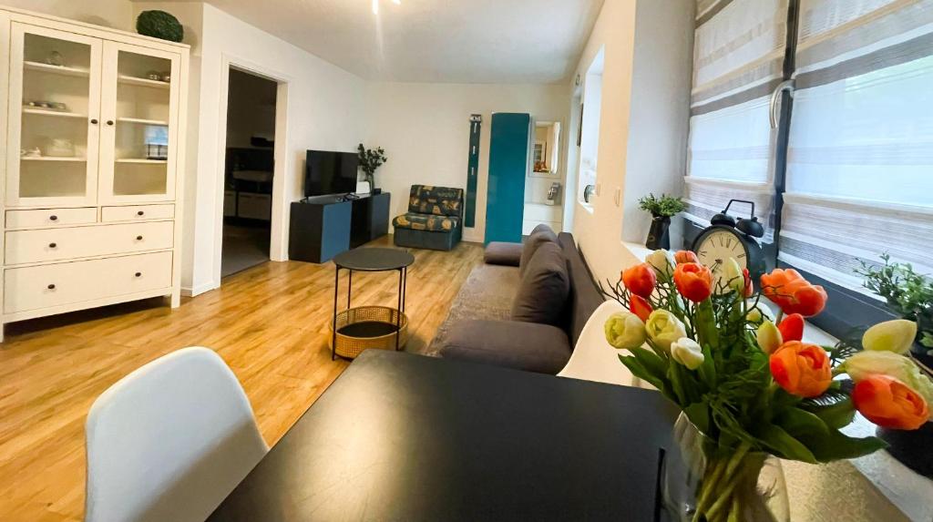 TV a/nebo společenská místnost v ubytování Bodensee Oase