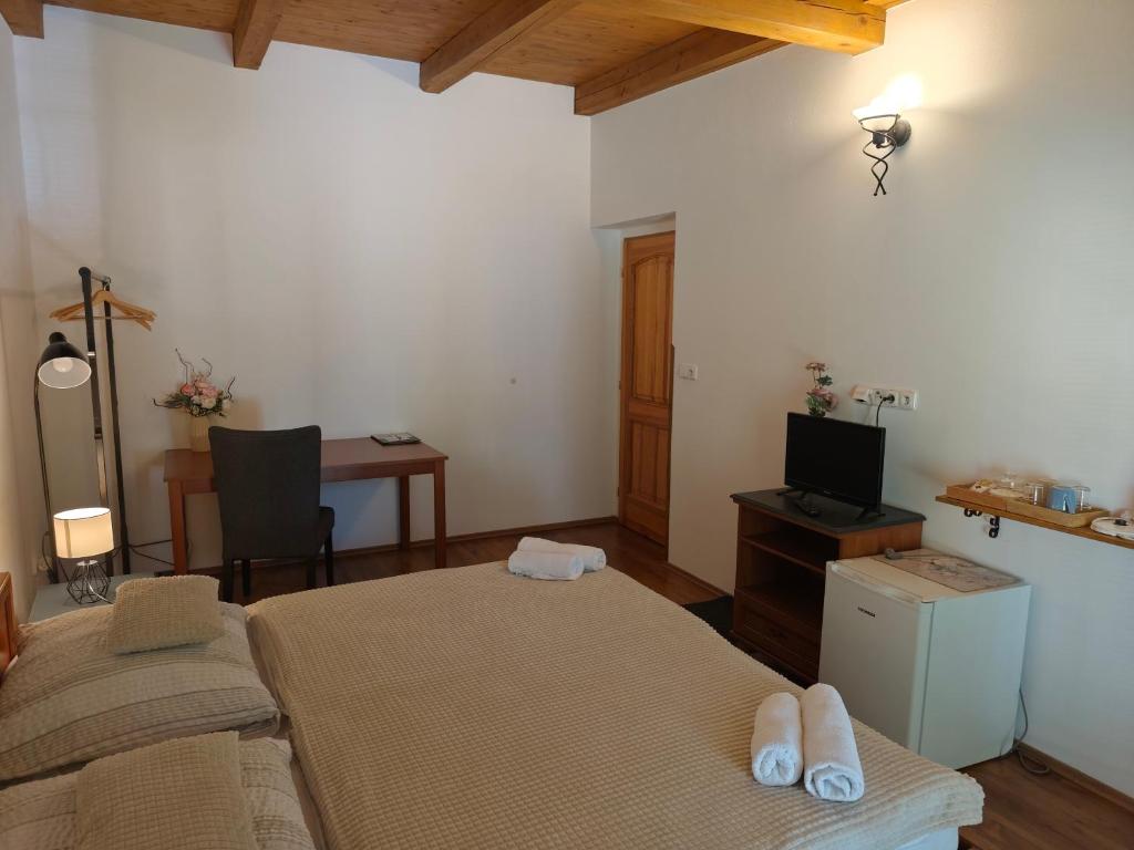 Penzion V Podzámčí Litomyšl - 5