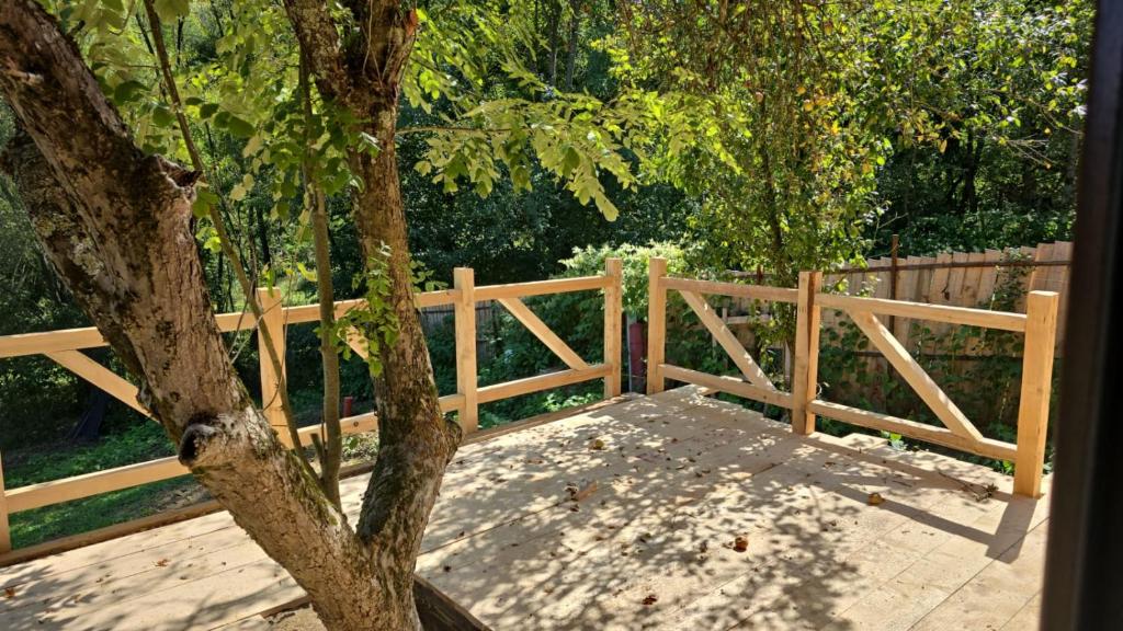 a wooden fence and a tree next to a wooden bench at Chalet Panoramic Maluri in Vişineşti