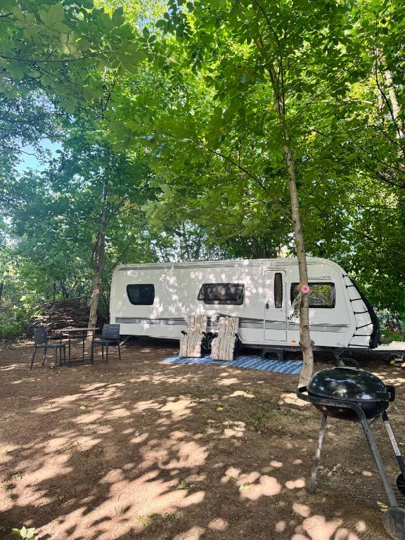 a white trailer parked under a tree in a park at Caravana dintre nuci in Oradea