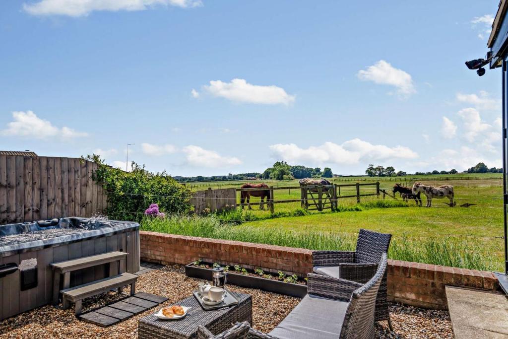 Swallows Return - Colkirk في Colkirk: فناء فيه كرسيين وخيول في ميدان