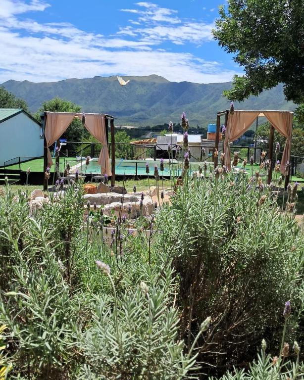 Φυσικό τοπίο κοντά σε αυτή η παραθεριστική κατοικία