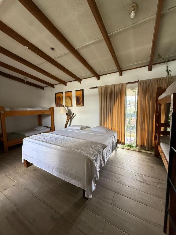 Room at Gaudys Eco Hotel