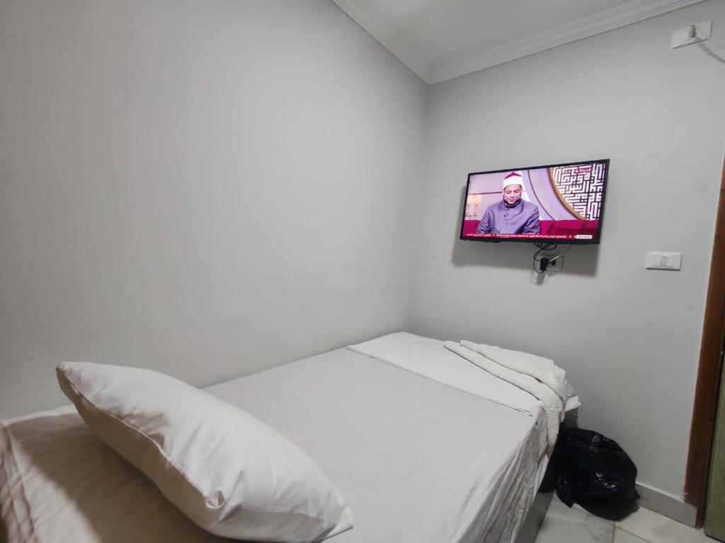 カイロにあるDel Ceilo Boutique Hotelの壁にテレビが付いたベッドのある寝室