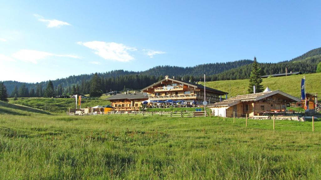 Příroda nedaleko hotelu