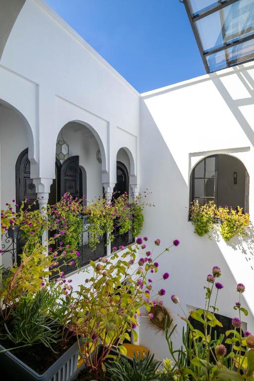 une cour avec de nombreuses plantes dans un bâtiment dans l'établissement Riad Come & Va Medina, à Marrakech