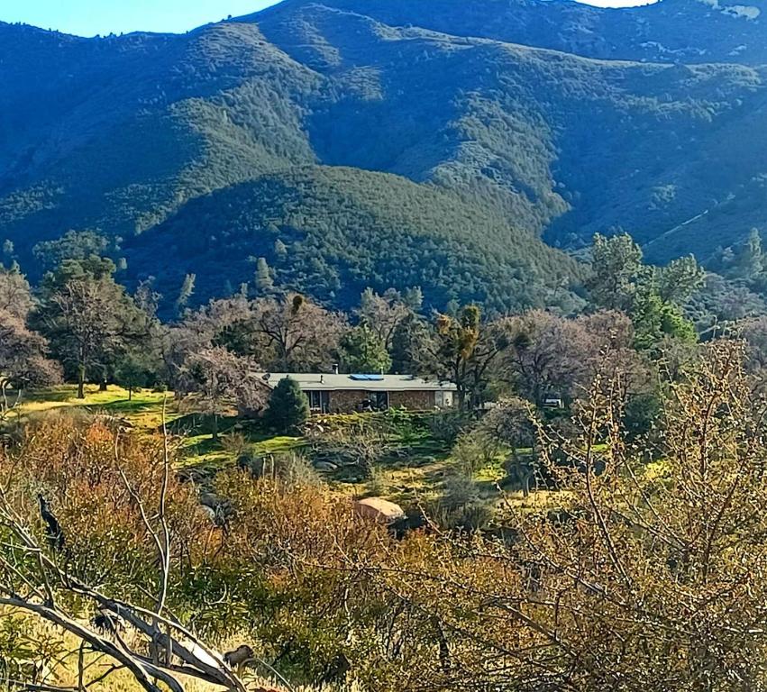 a house on a hill in front of a mountain at Secluded Oasis with Hot tub n firplace on 40 acres in Bodfish