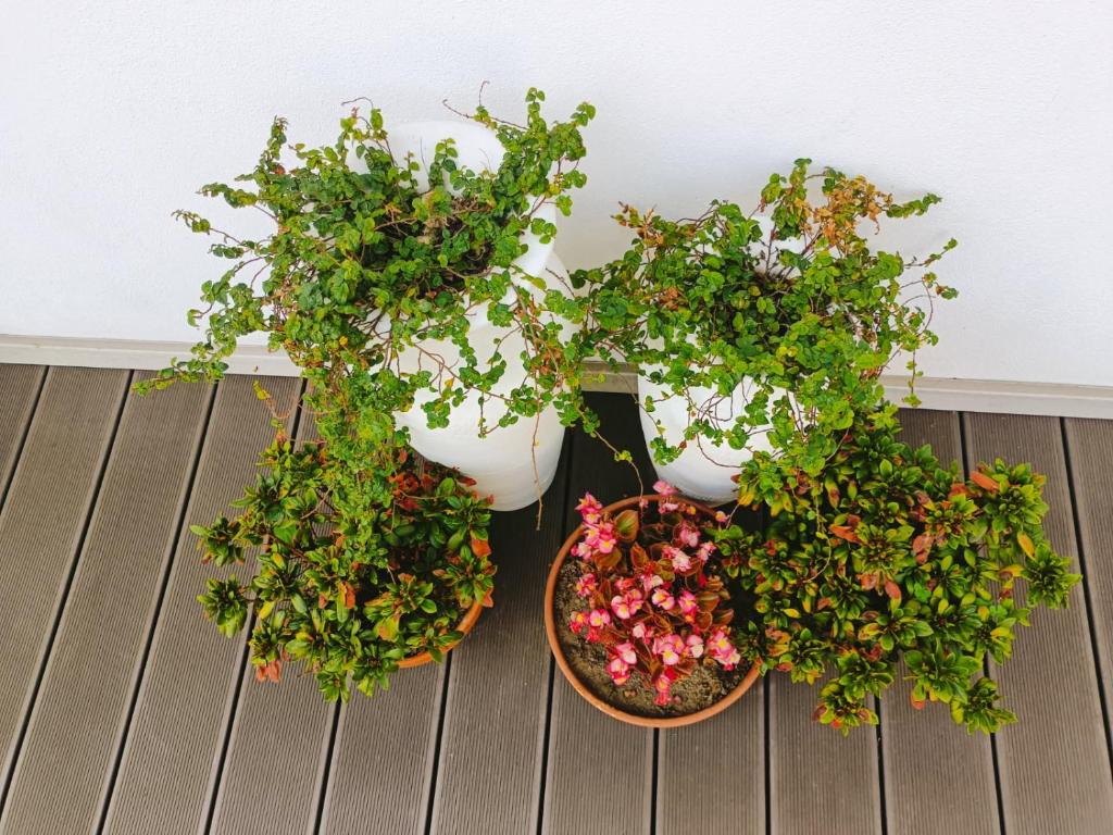 Quinta da Casa Matilde - NATURE HOUSE - 8