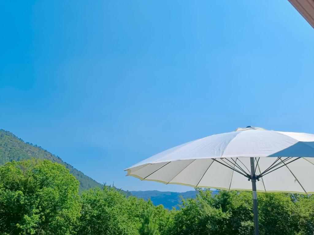 Quinta da Casa Matilde - NATURE HOUSE - 7