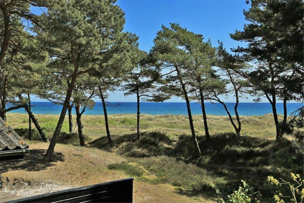 a bench sitting next to trees and the ocean at 2531-Nexo-Pilegardsvejen-29 in Neksø