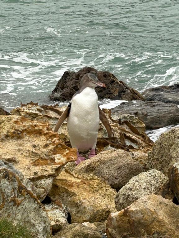 Harbour Hideaway - Resim 24