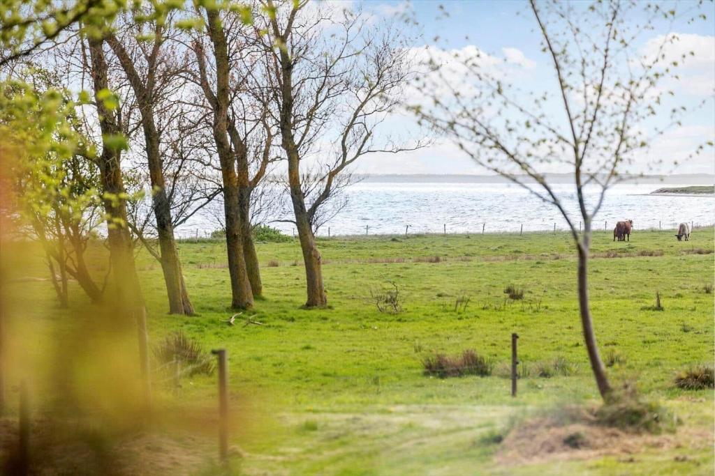 Dos caballos pastando en un campo junto al agua en LF13172-Nykobing-M-Strandvaenget-76, en Ejerslev