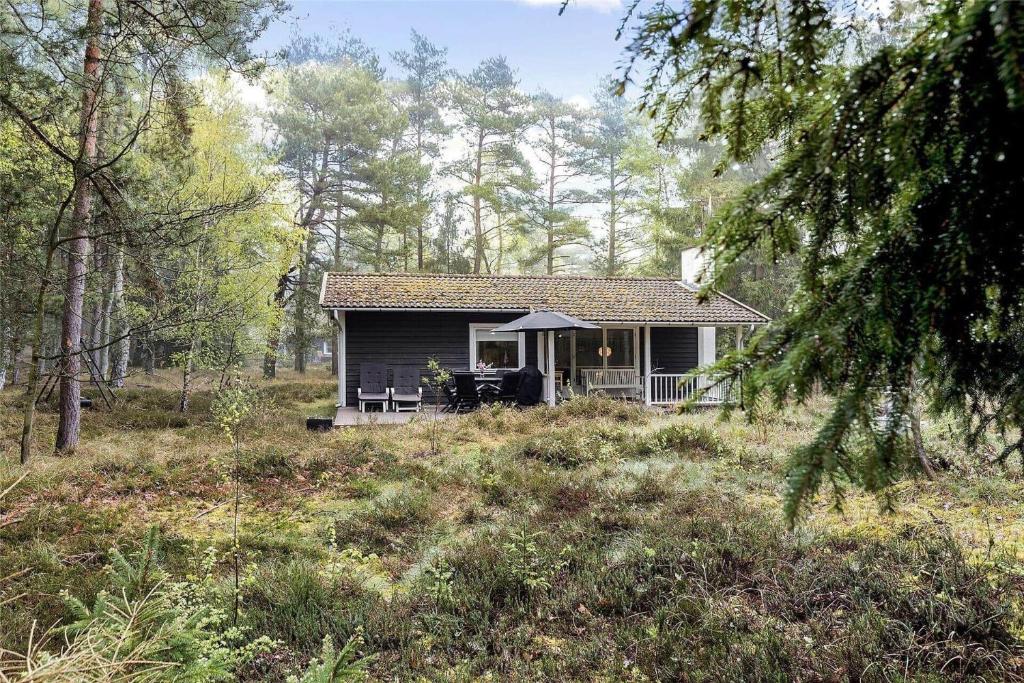 Naturlandskabet i nærheden af feriehuset