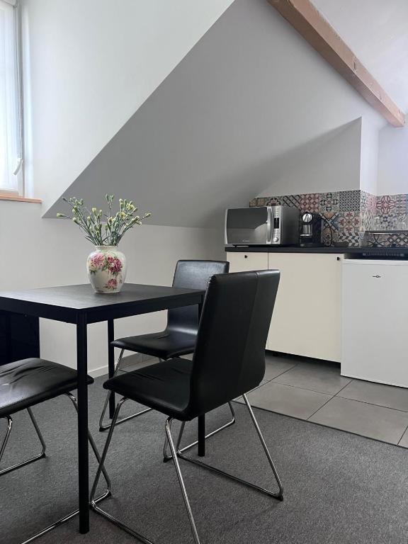 VILLA VLAS - Chambre d'Hôte - Limoges - 4