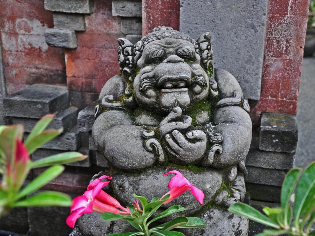 Fotografie z fotogalerie ubytování Bucu Guest House v Ubudu