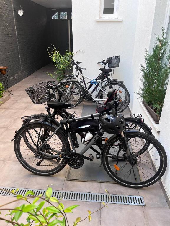 VILLA VLAS - Chambre d'Hôte - Limoges - 10