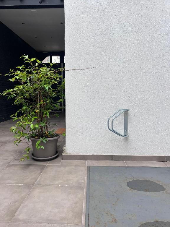 VILLA VLAS - Chambre d'Hôte - Limoges - 9