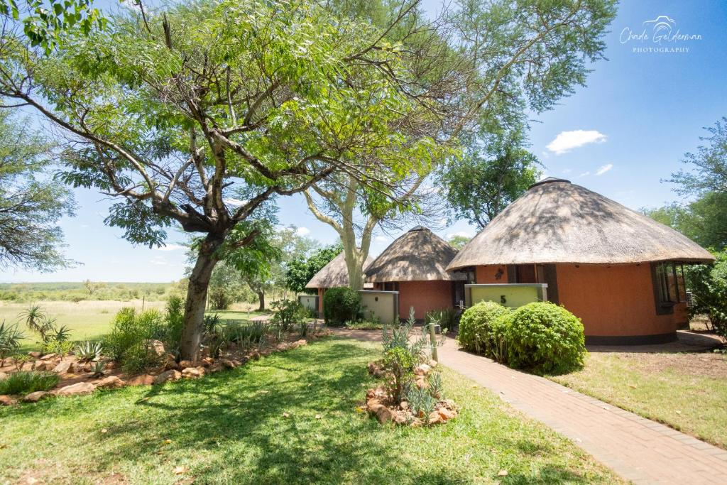two huts with thatched roofs in a field at Mohlabetsi Safari Lodge in Hoedspruit