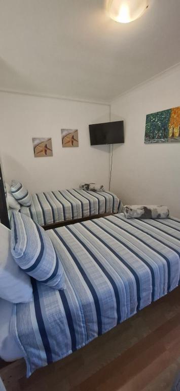 1 dormitorio con 1 cama con edredón de rayas azules en Grey Vine Cottage, en Ciudad del Cabo
