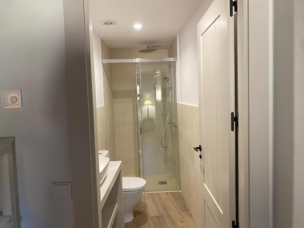 a white bathroom with a shower and a toilet at El Molino del Burgo de Osma in El Burgo de Osma