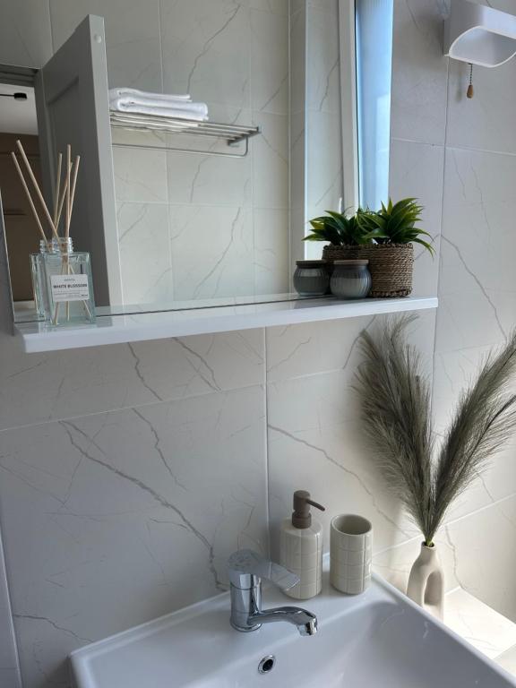 a bathroom sink with a mirror and plants on it at Meraki Residence in Ungheni