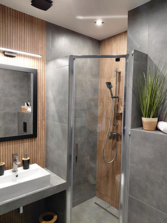 Gościniec nad Olzą - 6