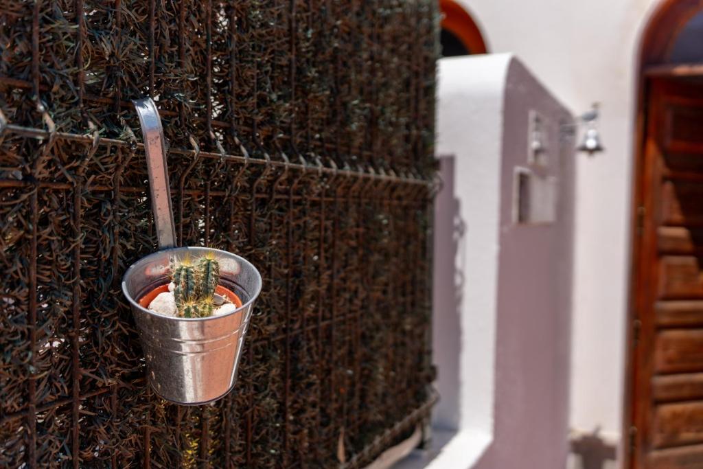 Billede fra billedgalleriet på Vivelorural Los Tableros Agaete great terrace i Agaete