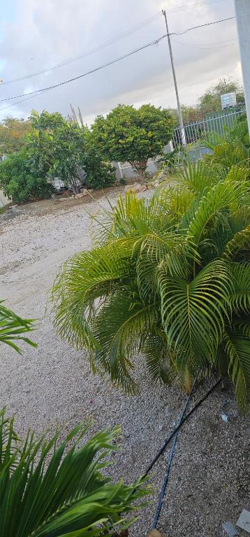 Relex appartement