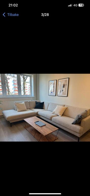 a living room with two couches and two windows at Joy Vulcan Center apartment in Oslo