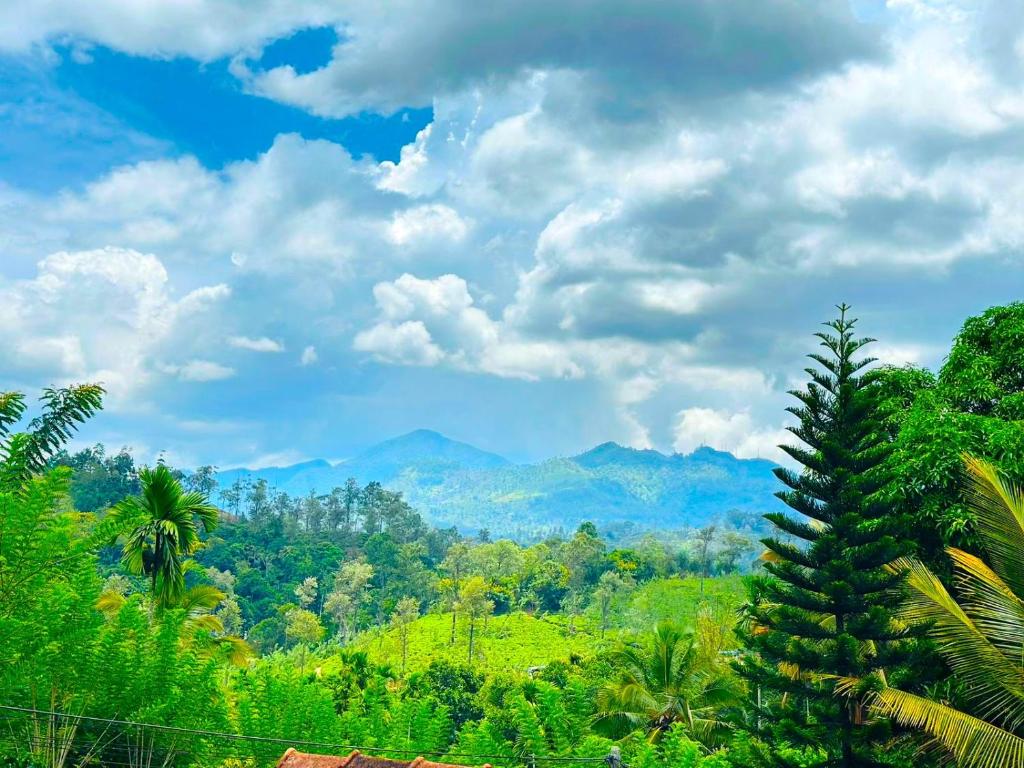 a view of a jungle with a palm tree and mountains at Crest Cold Homestay in Ella