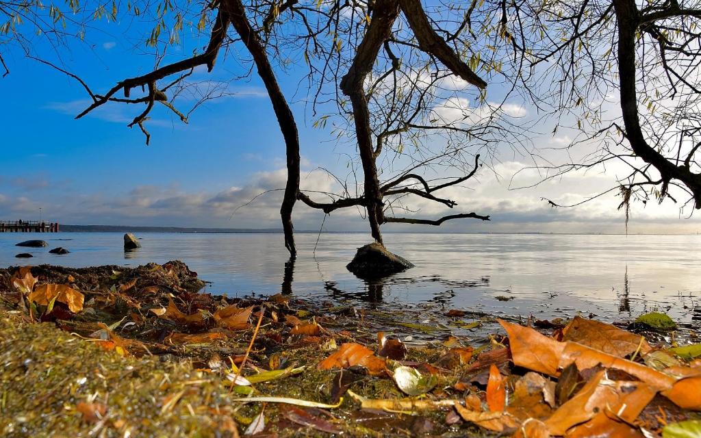 Loodusmaastik apartemendi lähedal